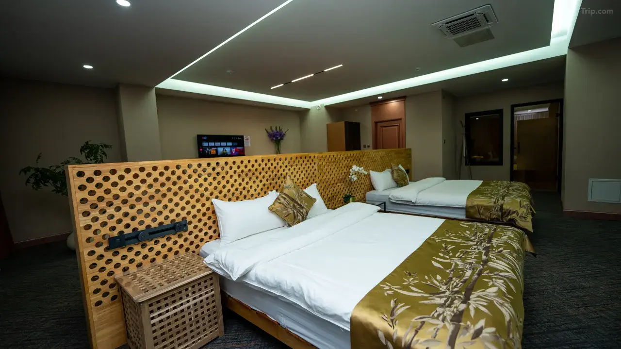 Deluxe twin room - Image 9