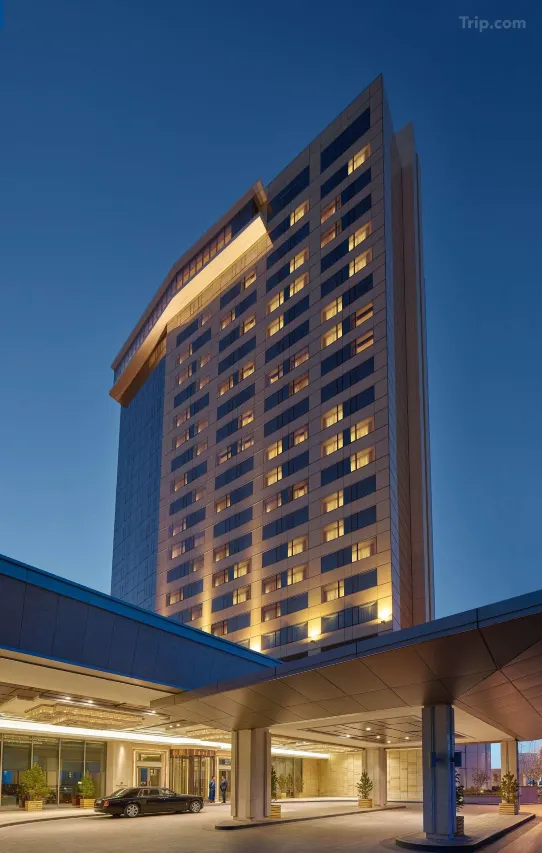 Executive Suite - Image 4