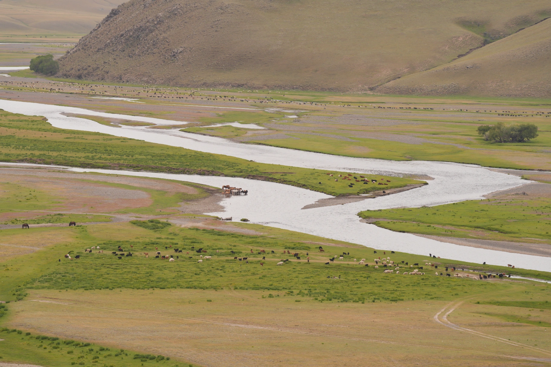 Central Mongolian Short Stay — photo 1