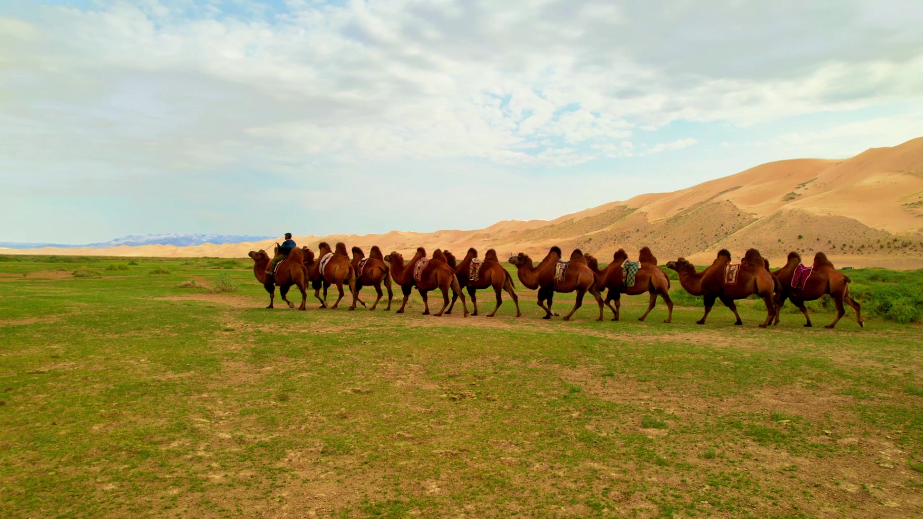 Gobi Short Stay — photo 2