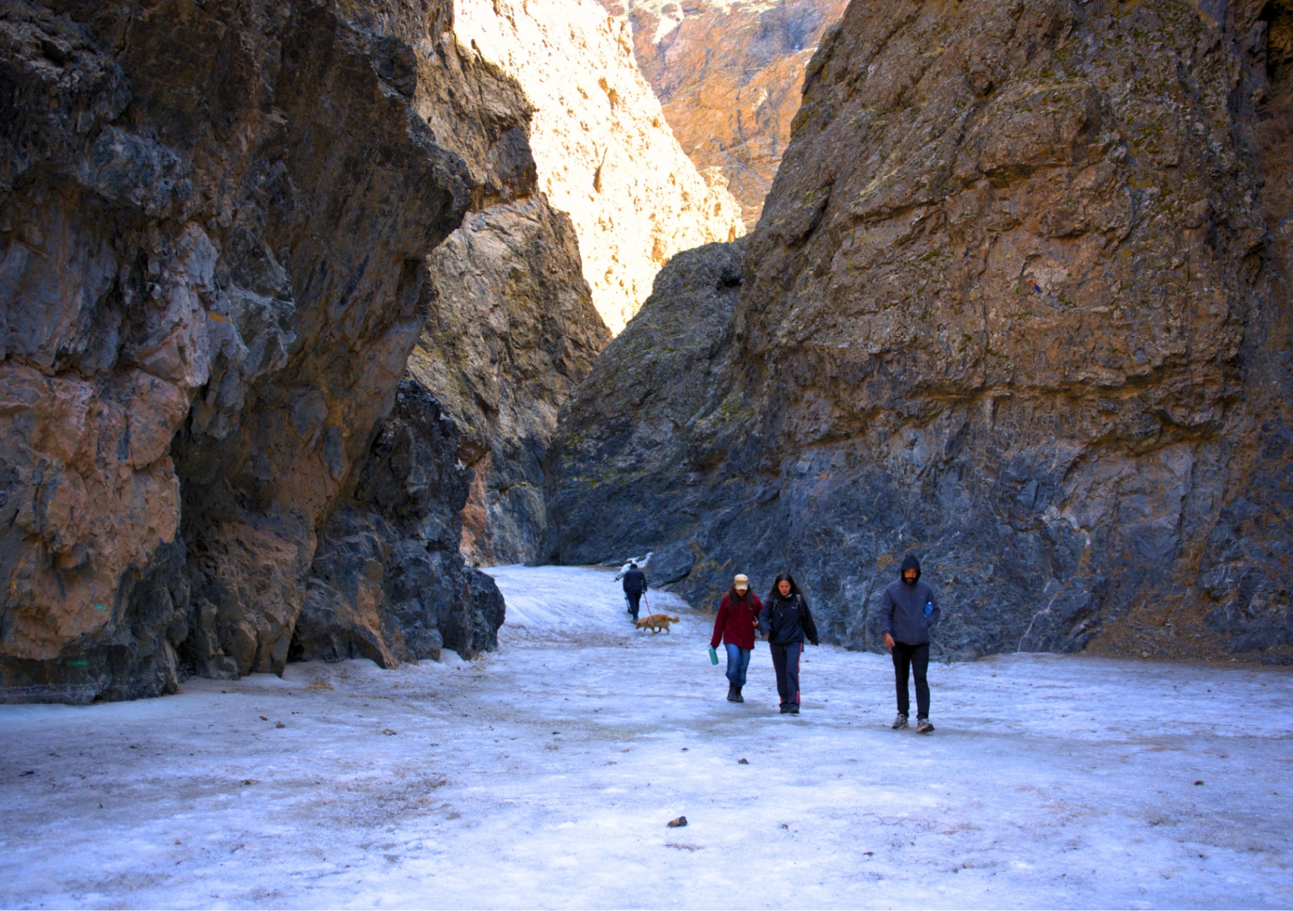 Gobi Short Stay — photo 9