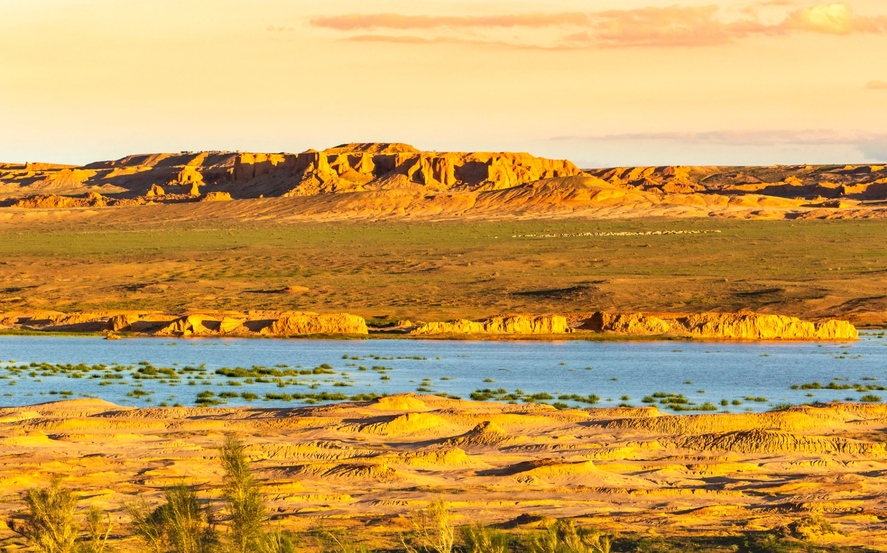 Gobi Short Stay — photo 4