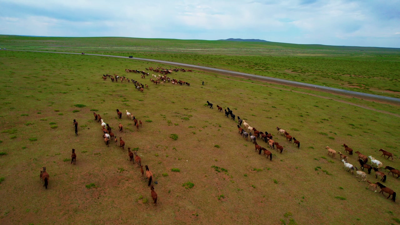 Elsen Tasarkhai & Mongol Nomadic short tour — photo 2
