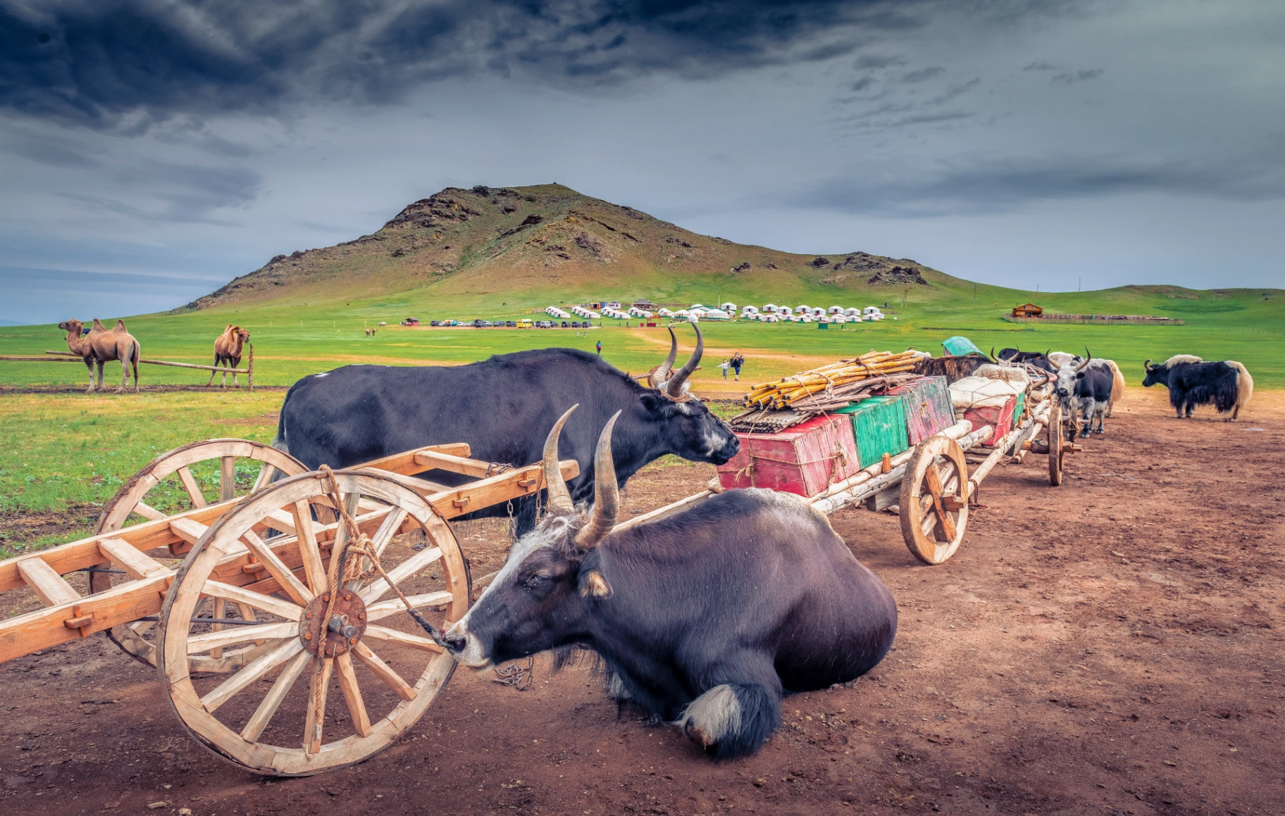 Mongol Nomadic Live Show Day Tour — photo 4
