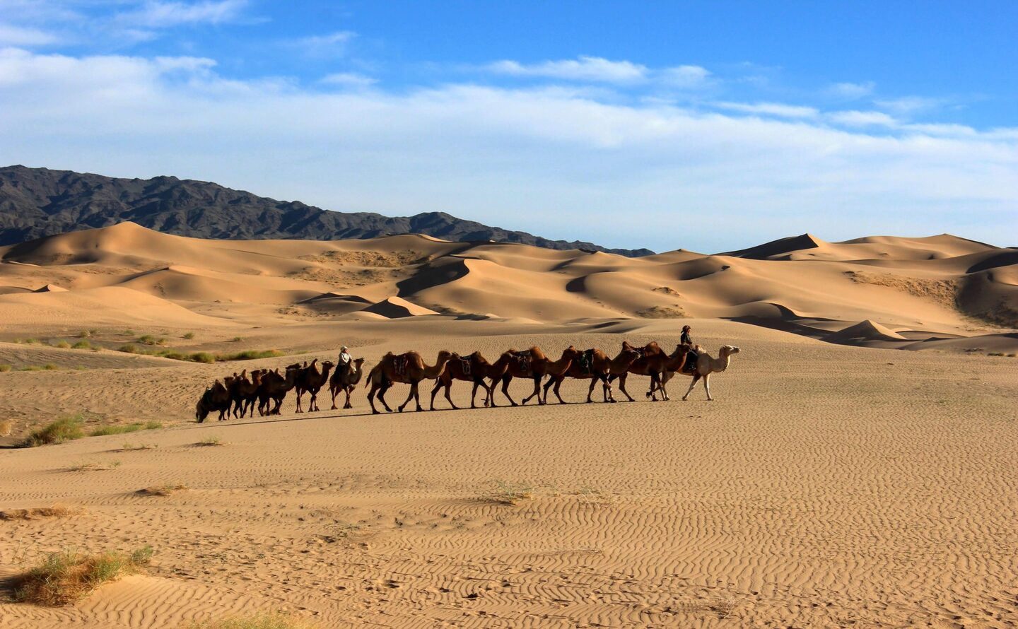 Gobi Short Stay