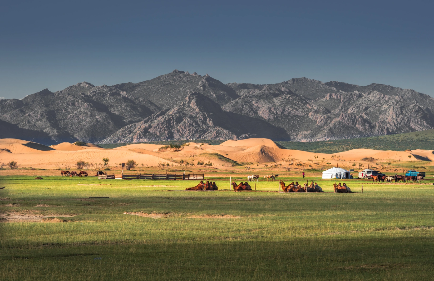 Elsen Tasarkhai & Mongol Nomadic short tour