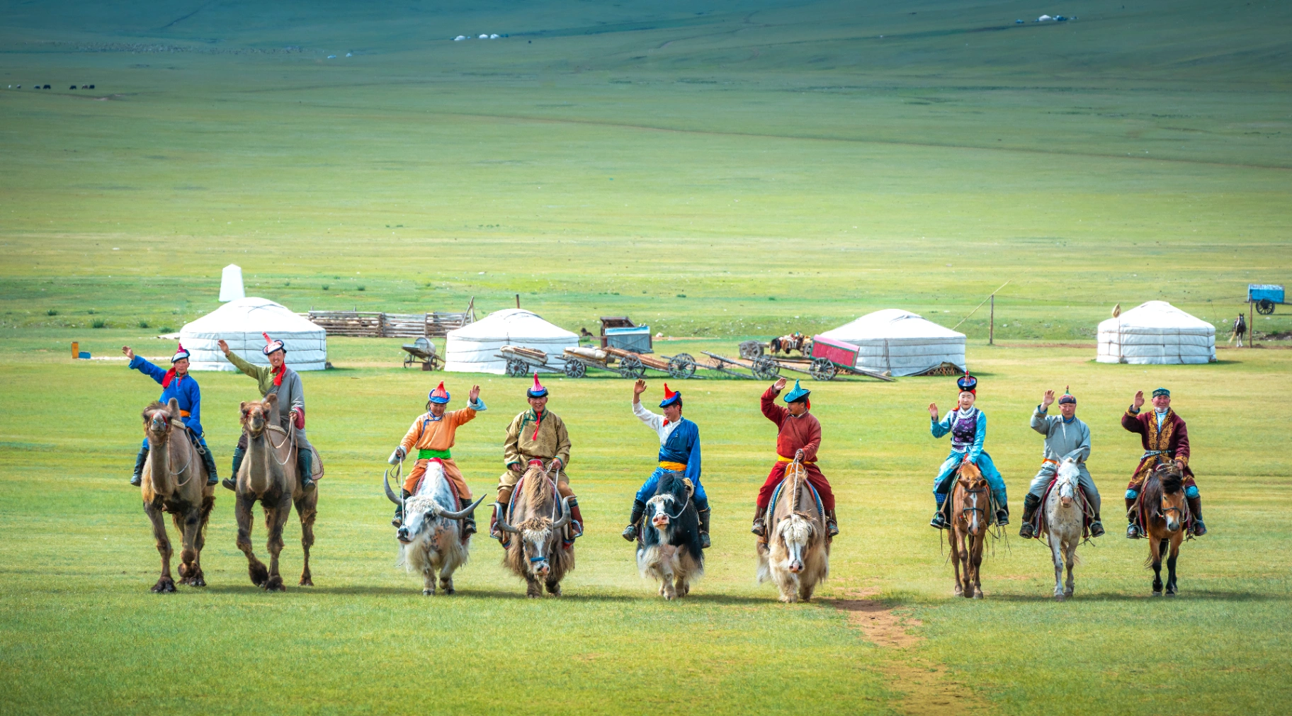 Mongol Nomadic Live Show Day Tour